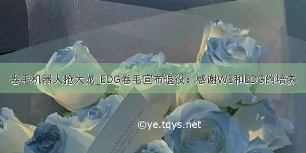 卷毛机器人抢大龙_EDG卷毛宣布退役：感谢WE和EDG的培养