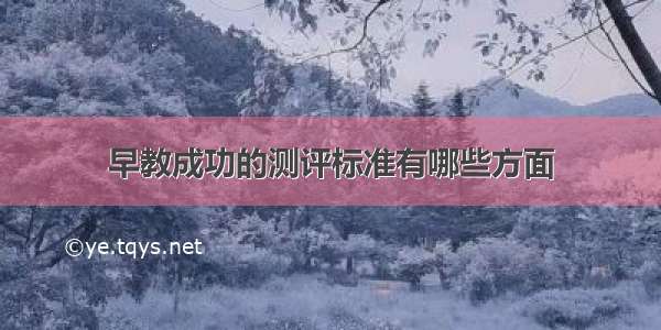 早教成功的测评标准有哪些方面