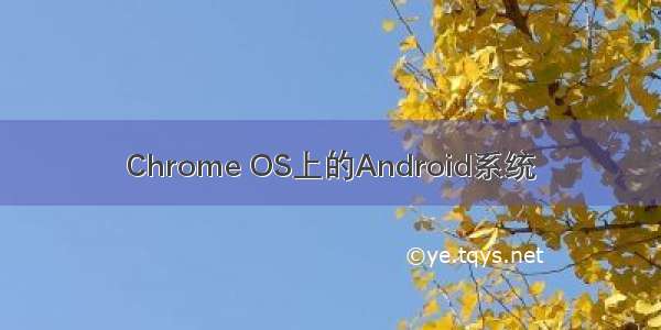 Chrome OS上的Android系统
