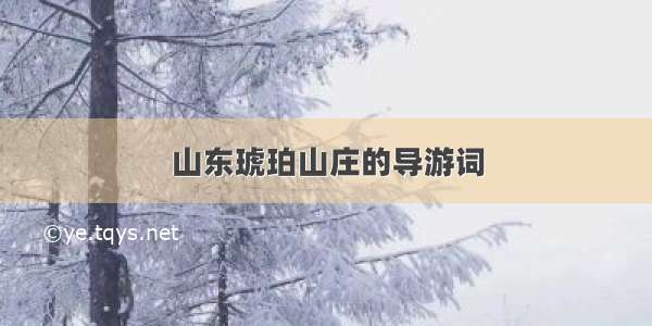 山东琥珀山庄的导游词