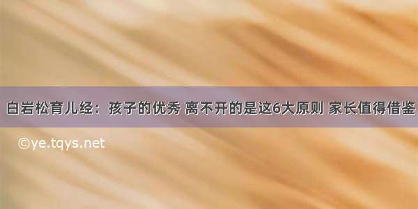 白岩松育儿经：孩子的优秀 离不开的是这6大原则 家长值得借鉴