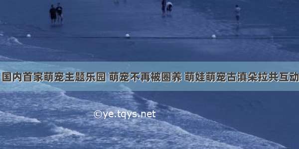 国内首家萌宠主题乐园 萌宠不再被圈养 萌娃萌宠古滇朵拉共互动