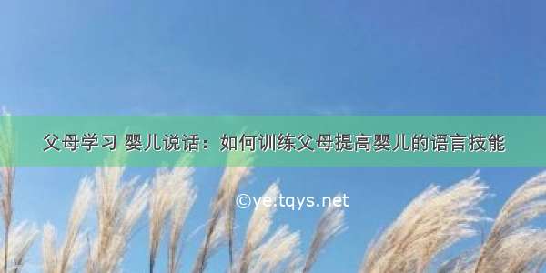 父母学习 婴儿说话：如何训练父母提高婴儿的语言技能