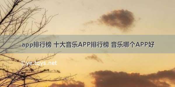 app排行榜 十大音乐APP排行榜 音乐哪个APP好