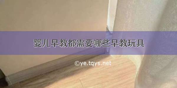 婴儿早教都需要哪些早教玩具