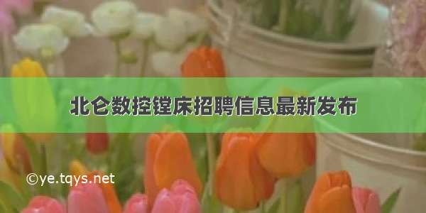 北仑数控镗床招聘信息最新发布