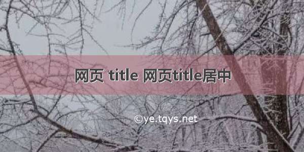 网页 title 网页title居中