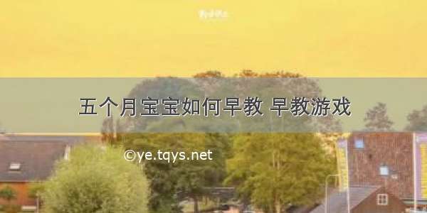 五个月宝宝如何早教 早教游戏