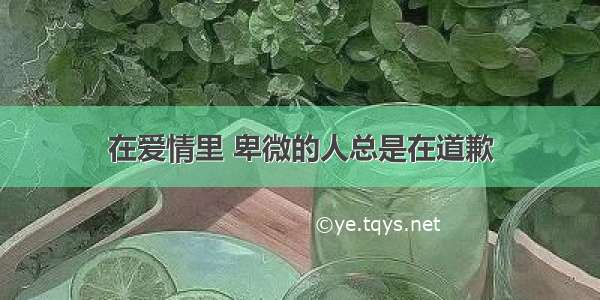 在爱情里 卑微的人总是在道歉