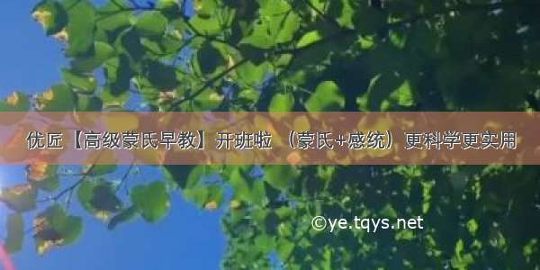 优匠【高级蒙氏早教】开班啦 （蒙氏+感统）更科学更实用