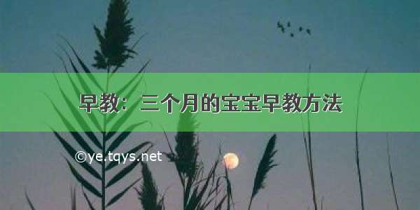 早教：三个月的宝宝早教方法