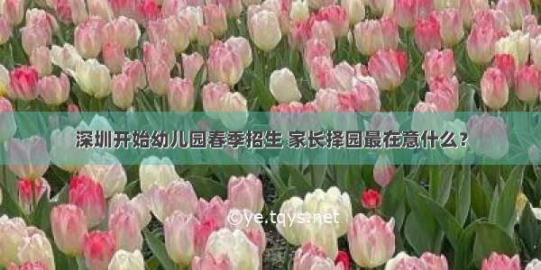 深圳开始幼儿园春季招生 家长择园最在意什么？