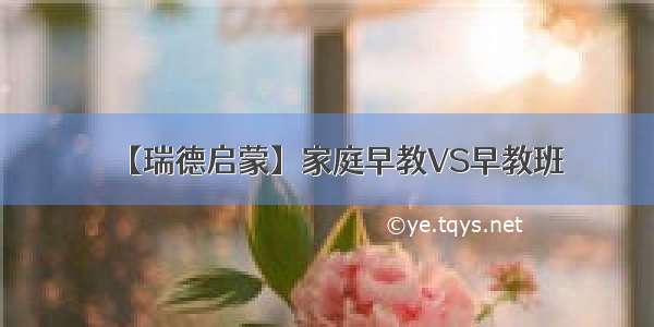 【瑞德启蒙】家庭早教VS早教班