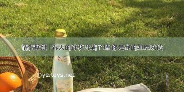 情侣壁纸 | 春天的鲜花开满了墙 你是我的如愿以偿