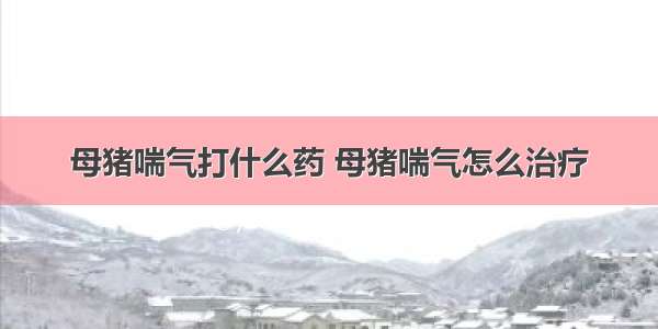 母猪喘气打什么药 母猪喘气怎么治疗