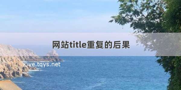 网站title重复的后果