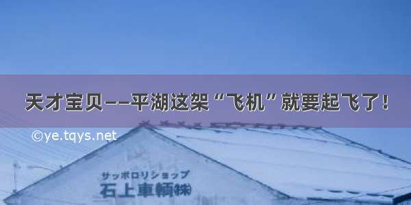 天才宝贝——平湖这架“飞机”就要起飞了！