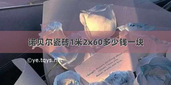 诺贝尔瓷砖1米2x60多少钱一块