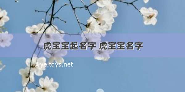 虎宝宝起名字 虎宝宝名字