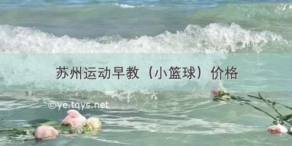 苏州运动早教（小篮球）价格