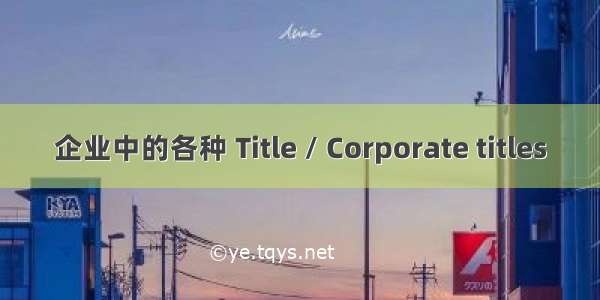 企业中的各种 Title / Corporate titles