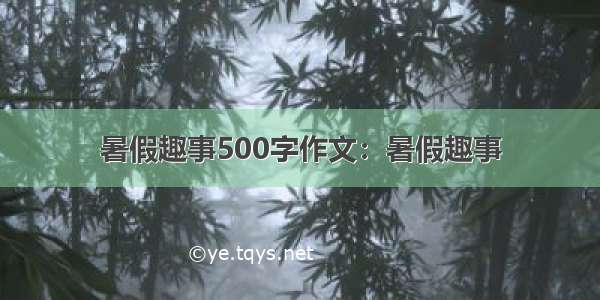 暑假趣事500字作文：暑假趣事