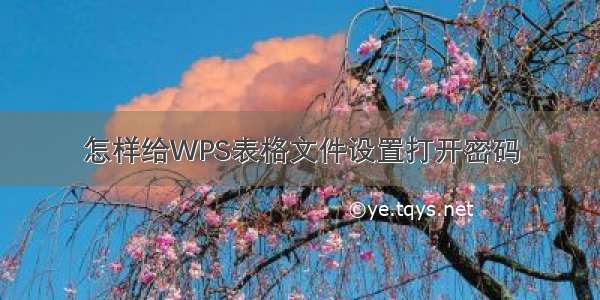 怎样给WPS表格文件设置打开密码