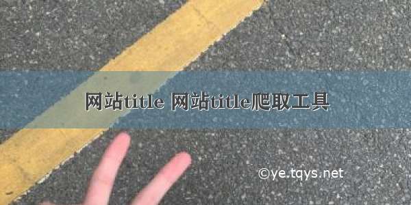 网站title 网站title爬取工具