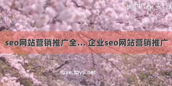 seo网站营销推广全... 企业seo网站营销推广