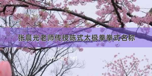 张晨光老师传授陈式太极拳拳式名称