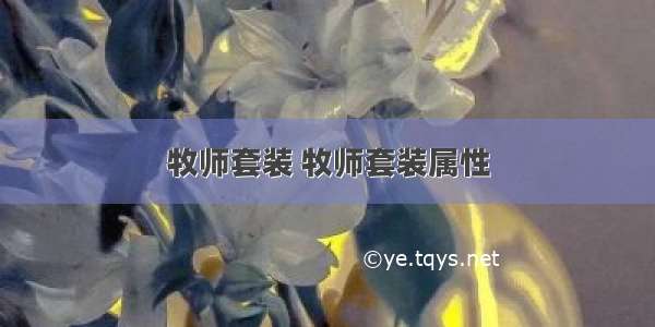 牧师套装 牧师套装属性