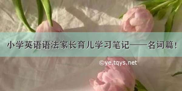 小学英语语法家长育儿学习笔记——名词篇！