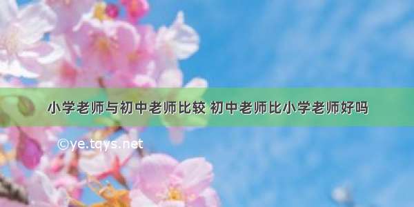 小学老师与初中老师比较 初中老师比小学老师好吗