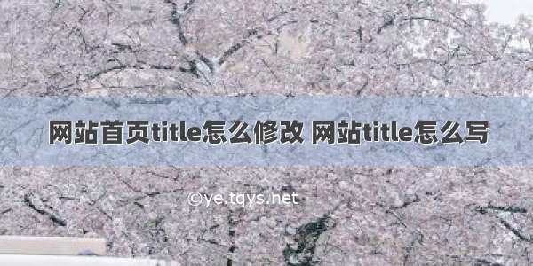 网站首页title怎么修改 网站title怎么写