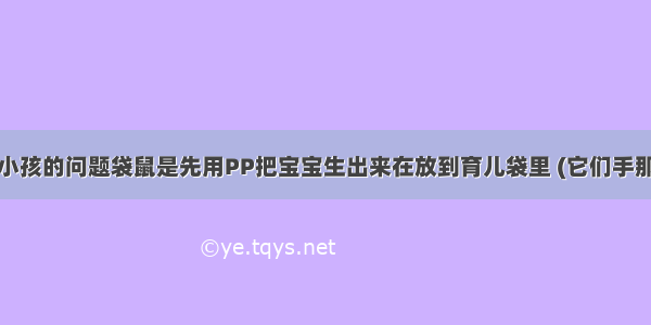 关于袋鼠生小孩的问题袋鼠是先用PP把宝宝生出来在放到育儿袋里 (它们手那么短小怎么