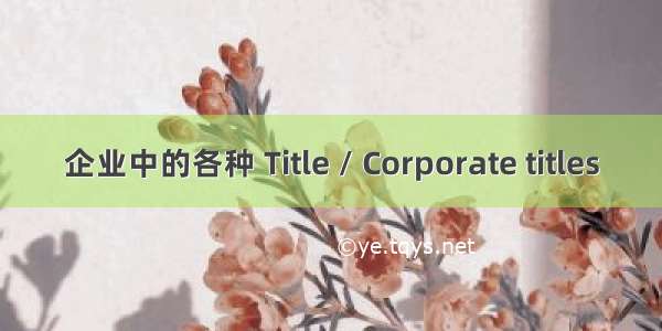 企业中的各种 Title / Corporate titles