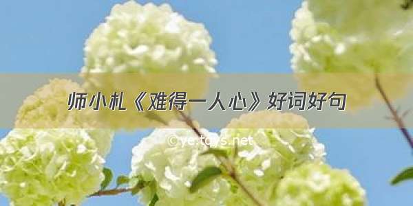 师小札《难得一人心》好词好句