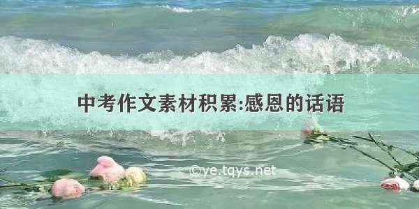 中考作文素材积累:感恩的话语