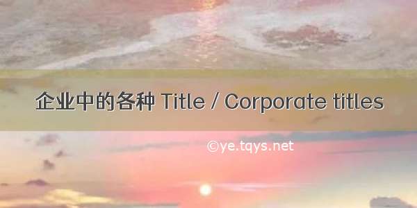 企业中的各种 Title / Corporate titles