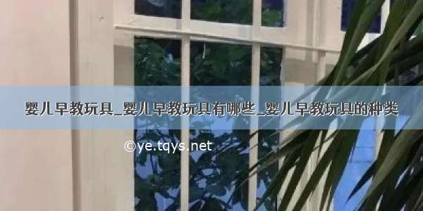 婴儿早教玩具_婴儿早教玩具有哪些_婴儿早教玩具的种类