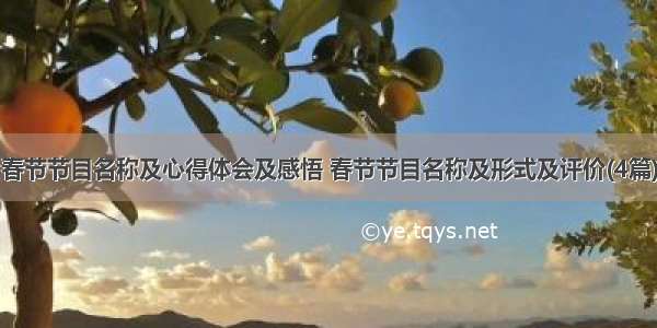 春节节目名称及心得体会及感悟 春节节目名称及形式及评价(4篇)