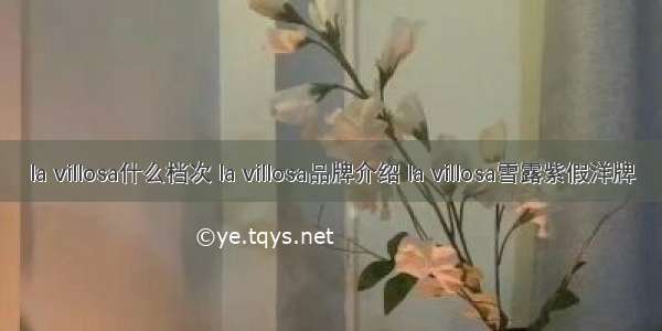 la villosa什么档次 la villosa品牌介绍 la villosa雪露紫假洋牌