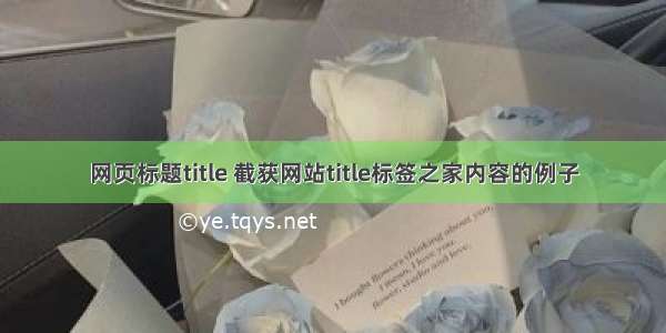 网页标题title 截获网站title标签之家内容的例子