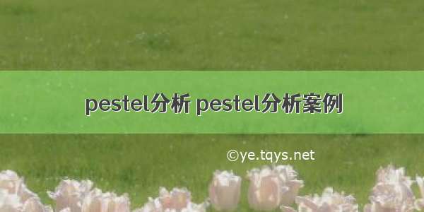 pestel分析 pestel分析案例