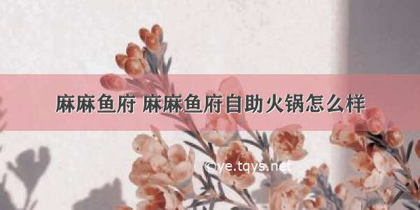 麻麻鱼府 麻麻鱼府自助火锅怎么样