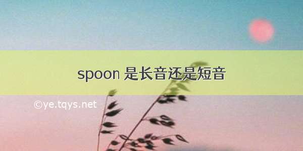 spoon 是长音还是短音