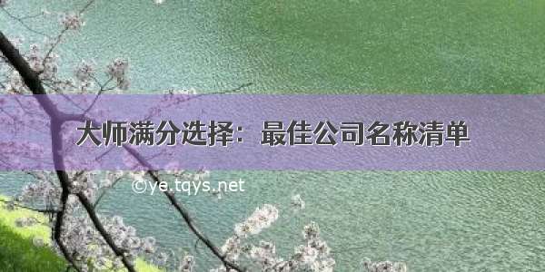 大师满分选择：最佳公司名称清单