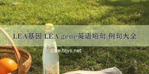 LEA基因 LEA gene英语短句 例句大全