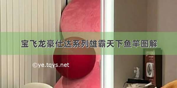 宝飞龙豪仕达系列雄霸天下鱼竿图解