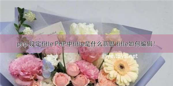 php 设定title PHP中title是什么意思 title如何编辑！